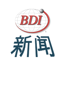 BDI_NEWS_cn.png