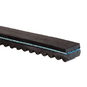 BX29