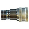 HNV-38-F HNV-38-F