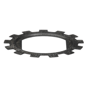 250 TL LOCKWASHER PB