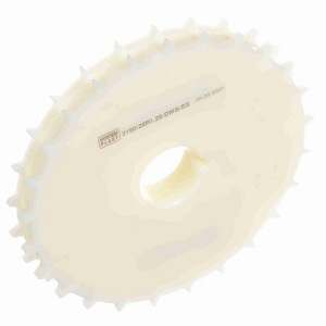 2190-25R1.25-DMS-SS