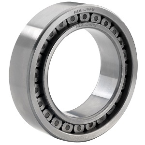 NNCF 5004 CV