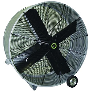 60019