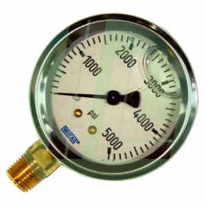 213.53.2.5IN 5000PSI 1/4NPT LM ; 9767169