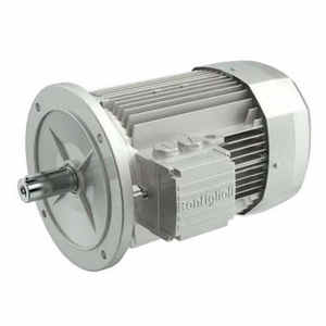 BN 63B 4 230/460-60 IP55 CLF B14 CUS