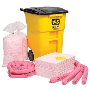 KIT366