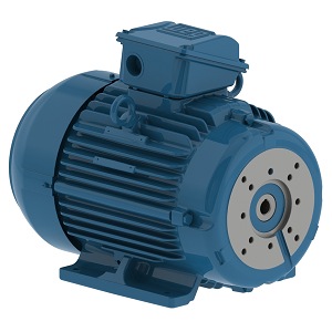 AF 10HP 30RPM 215TYZ