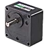 2GN50K INDUCTION MOTOR