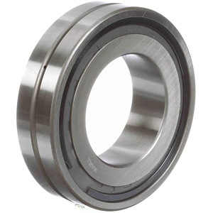 SB 22205K W33 SS