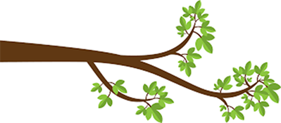 Tree Limb-left.png Tree Limb-left.png