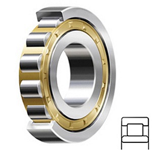 NU 200 Cylindrical Roller Bearing
