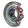 6200 Ball Bearing